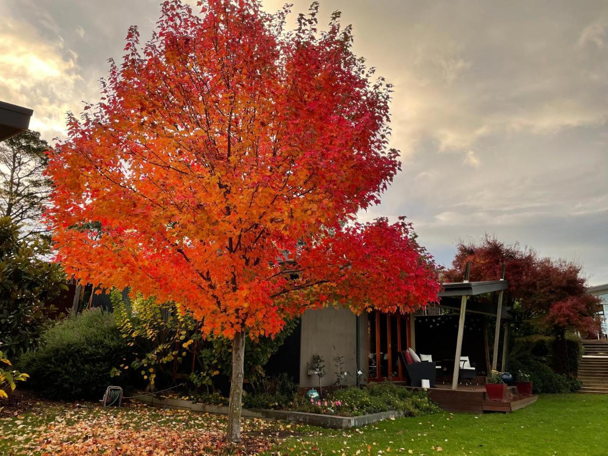 The Studio - Yarra Valley Yarra Glen Ngoại thất bức ảnh