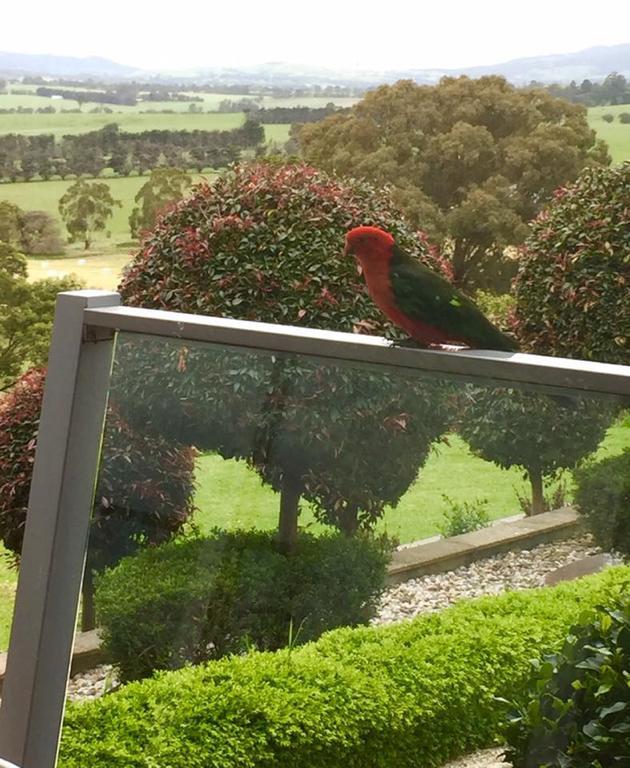 The Studio - Yarra Valley Yarra Glen Ngoại thất bức ảnh