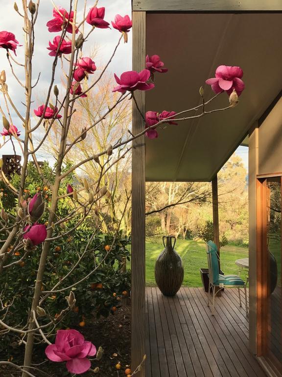 The Studio - Yarra Valley Yarra Glen Ngoại thất bức ảnh
