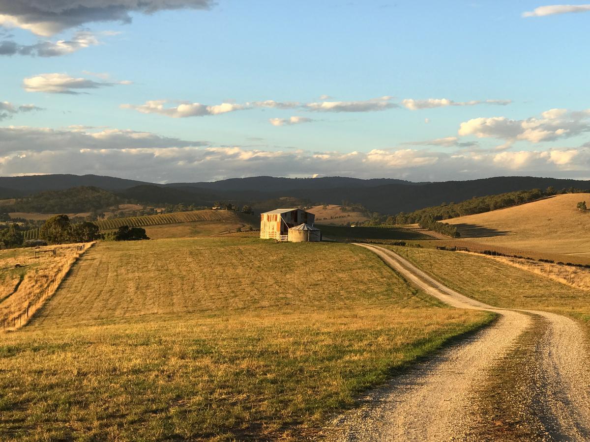 The Studio - Yarra Valley Yarra Glen Ngoại thất bức ảnh